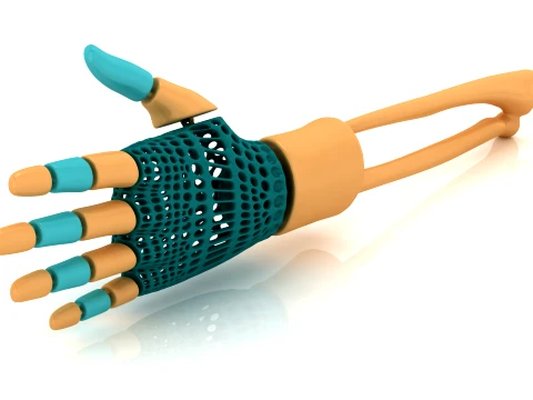 Flexy Skeleton Hands 3D Model