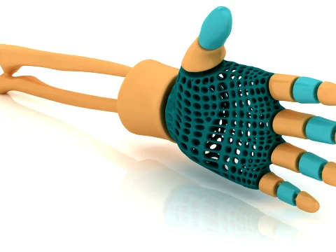 Flexy Skeleton Hands 3D Model