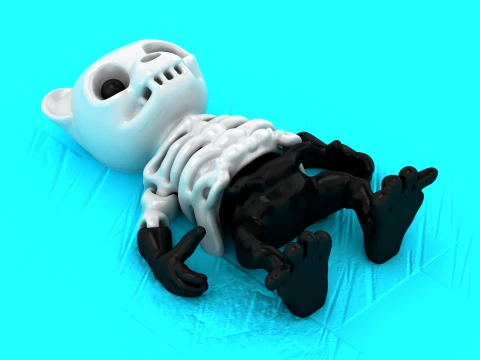 Skull Body Creatures 3D Model