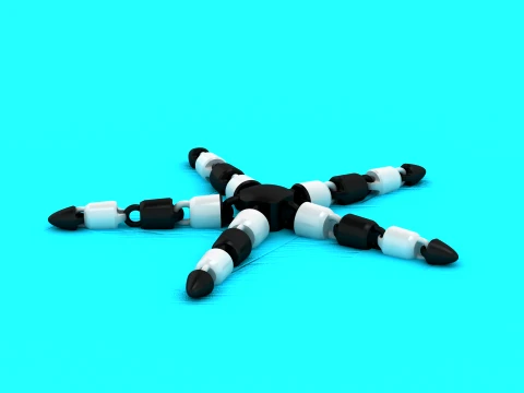 Segmented Star Creatures 3D Model
