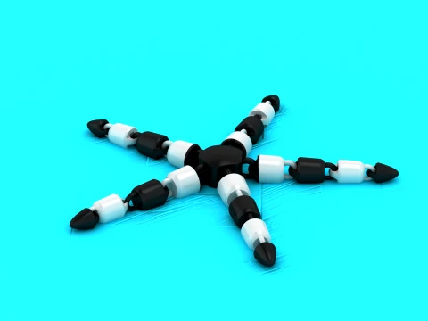 Segmented Star Creatures 3D Model
