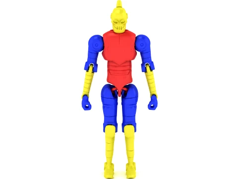 Colorful Anatomical Skeleton Model 3D Model