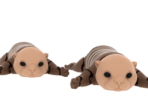 Cartoon Armadillo 3D 모델