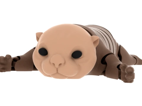 Cartoon Armadillo 3D Model