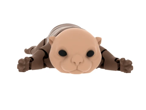 Cartoon Armadillo 3D Model