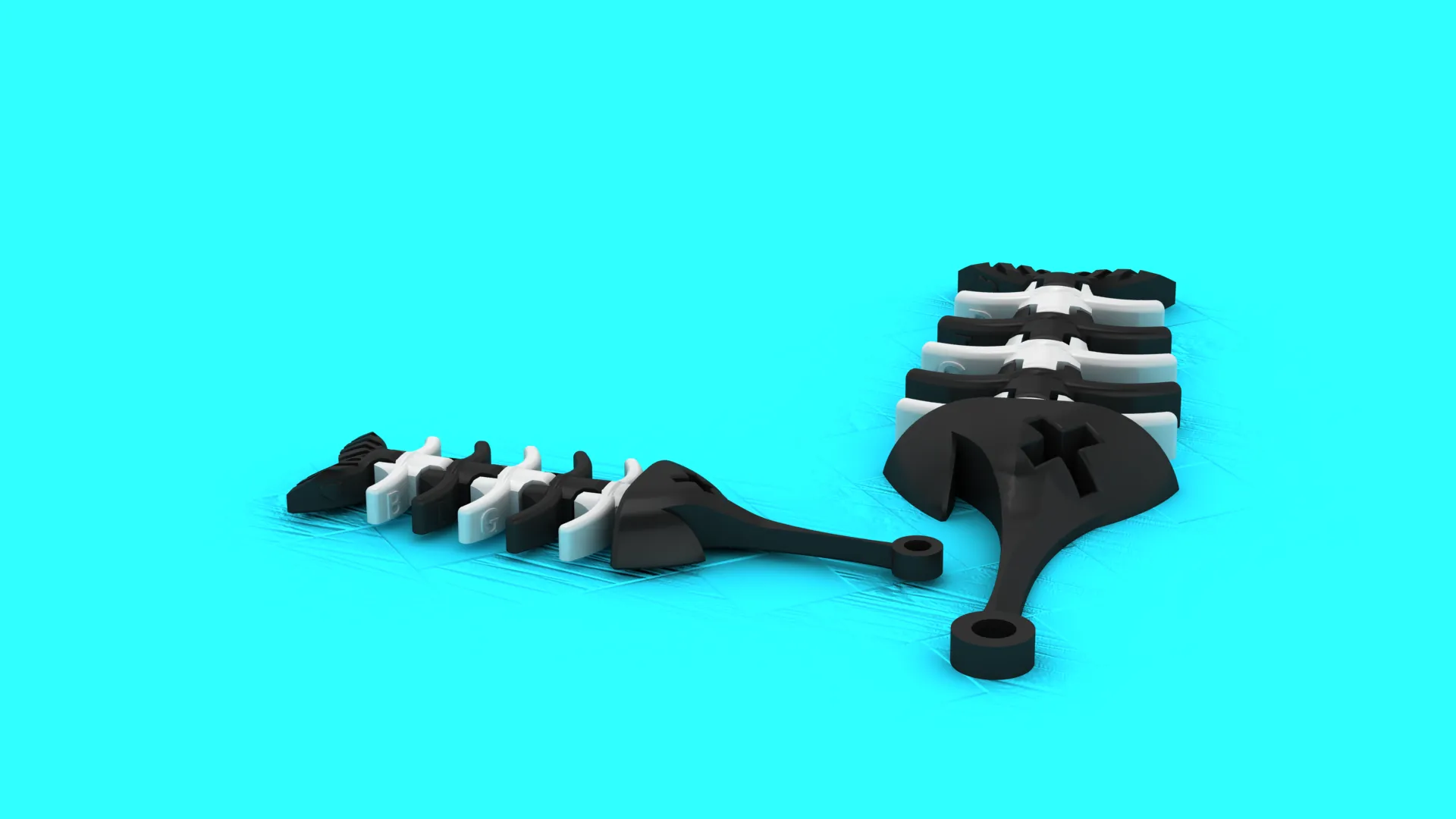 Articulated Fish Skeleton Keychain - Print-in-Place Flexi Toy 3D Print Model .c4d .max .obj .3ds .fbx .stl .blend