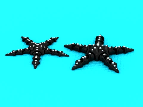 Articulated Flexi Starfish - Print-in-Place Sea Creature Toy 3D Print Model