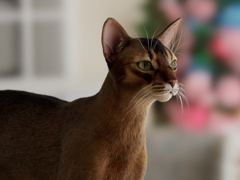 Abyssinian Cat 3Dモデル
