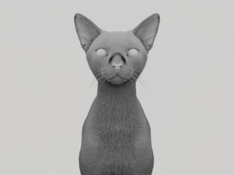 Abyssinian Cat 3D Model