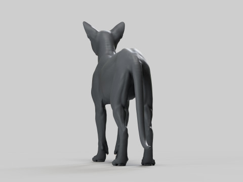 Abyssinian Cat 3Dモデル