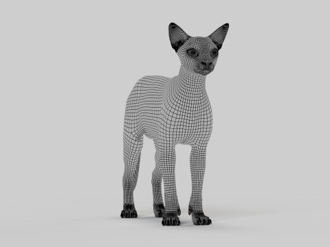 Abyssinian Cat 3Dモデル