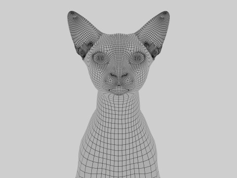 Abyssinian Cat 3Dモデル