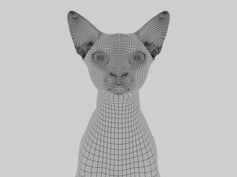 Abyssinian Cat 3D Model