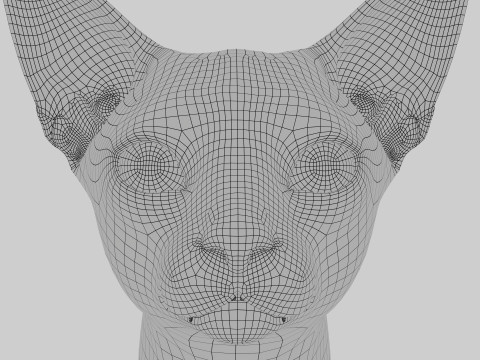 Abyssinian Cat 3Dモデル