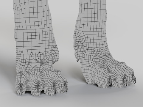 Abyssinian Cat 3Dモデル