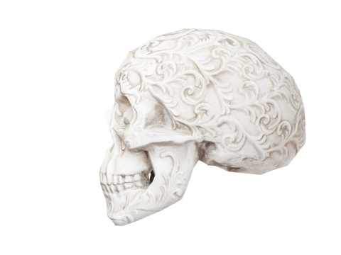 Flower Ornament Skull 3D Model