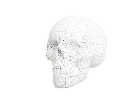 Flower Ornament Skull 3D Model