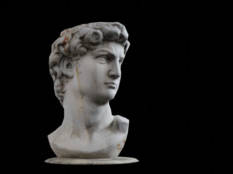 3d Scanned David Statue 3D Model