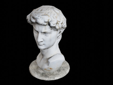 3d Scanned David Statue Model 3D