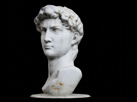 3d Scanned David Statue 3D Model