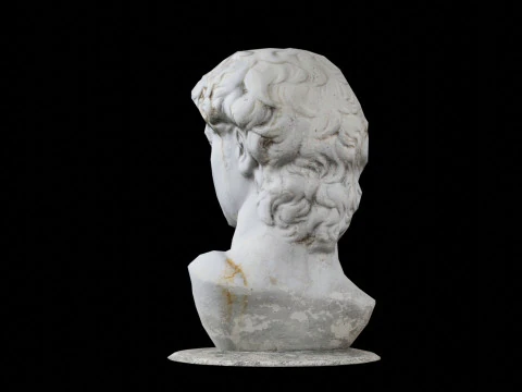 3d Scanned David Statue 3D Model
