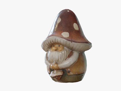 Mushroom Gnome 3d scan 3D Модель