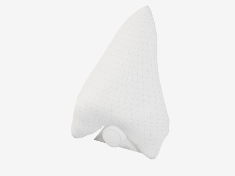 3D Scanned Megalodon Teeth 3D Model