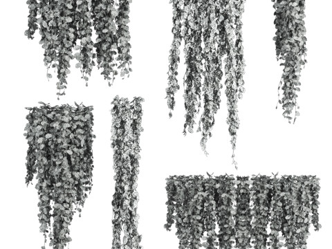 Ivy plants 3Dモデル