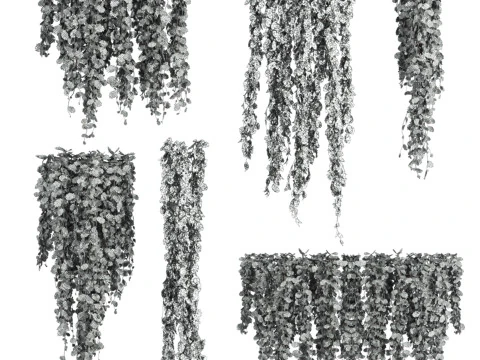 Ivy plants 3D Model