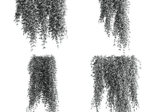 Ivy plants Modèle 3D