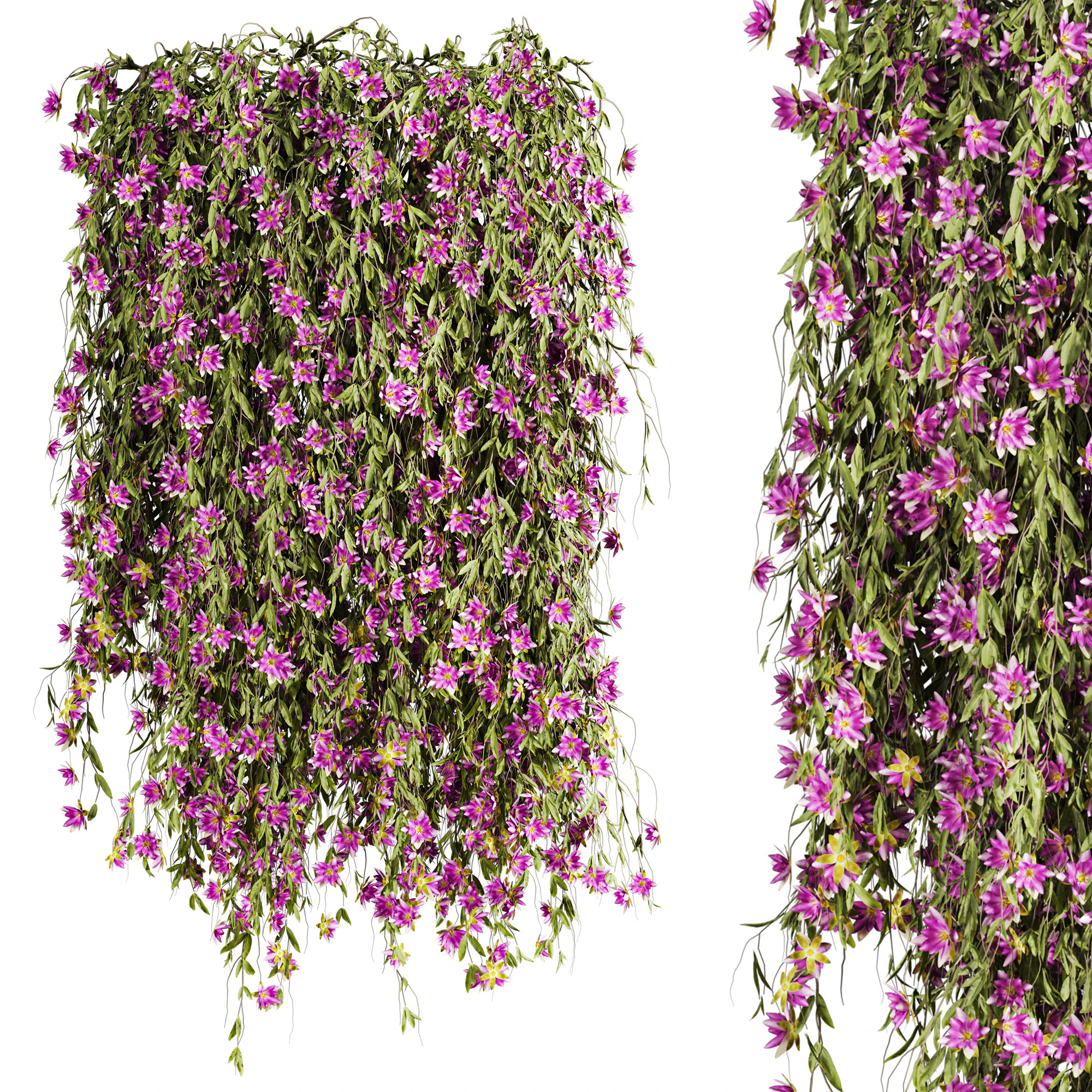 Ivy plants 3D Model .c4d .max .obj .3ds .fbx .stl .blend 