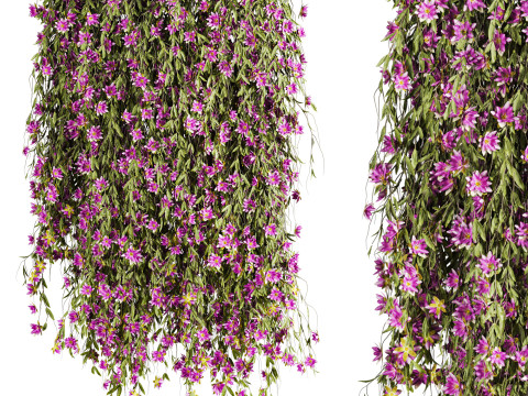 Ivy plants Model 3D