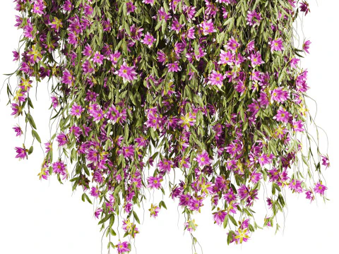 Ivy plants 3D Model