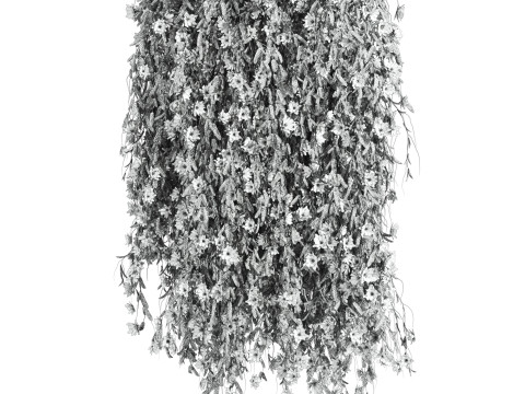Ivy plants Modèle 3D