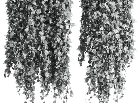 Ivy plants 3D 모델