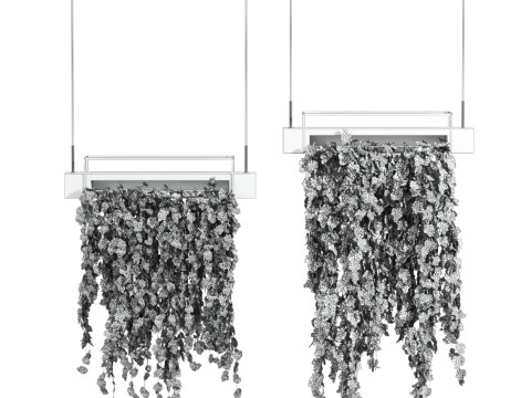 Ivy plants Model 3D