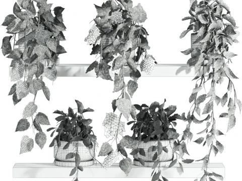 Plants set on shelf 3D Model