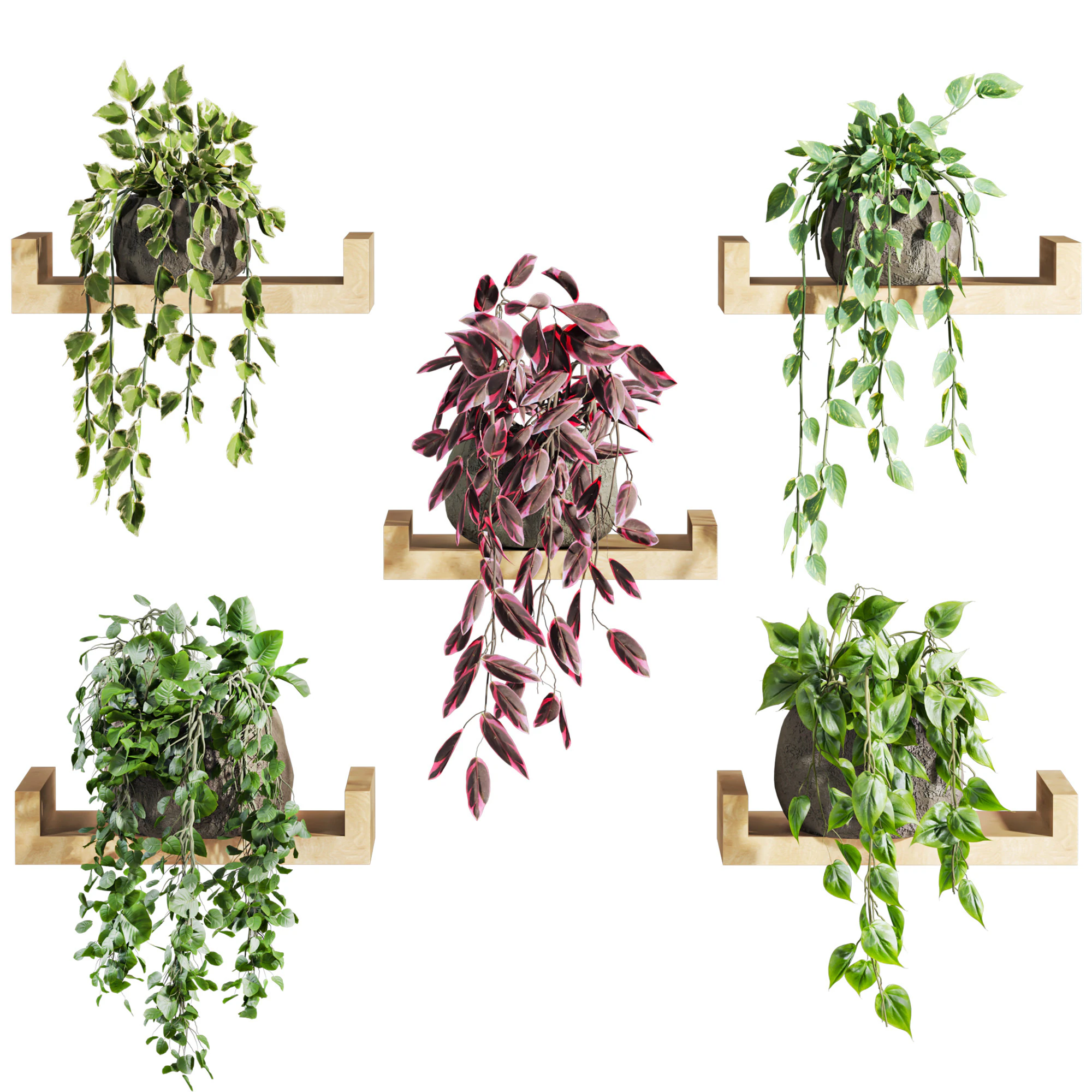 Plants set on shelf 3D Model .c4d .max .obj .3ds .fbx .stl .blend