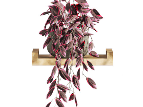 Plants set on shelf 3D Model