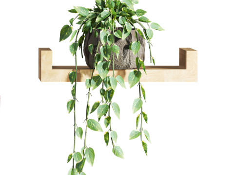 Plants set on shelf 3D Model