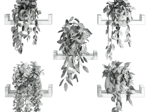 Plants set on shelf 3D Model