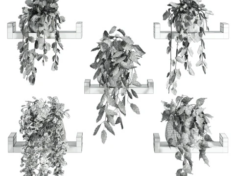 Plants set on shelf 3D Model