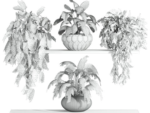 Plants set on shelf Model 3D