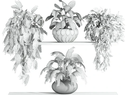 Plants set on shelf 3D Model