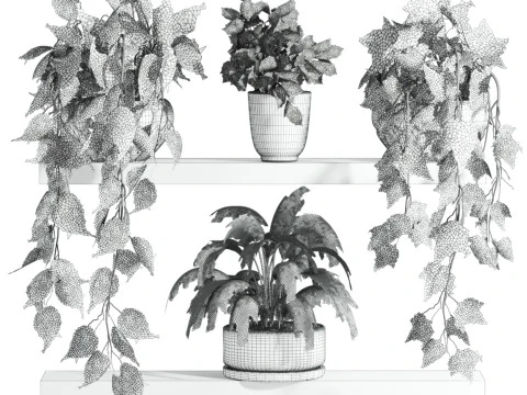 Plants set on shelf 3D Model