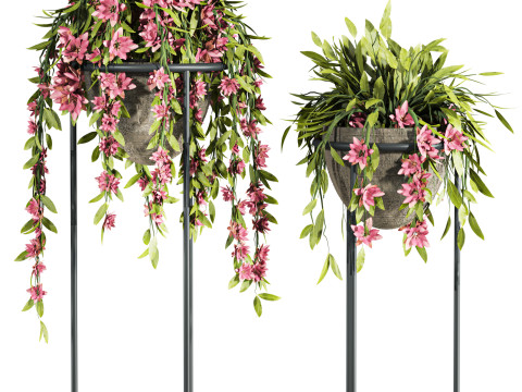 Plants set 3D Model