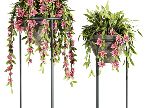 Conjunto de plantas Modelo 3D