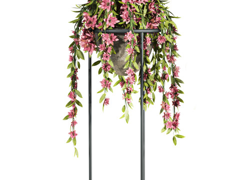 Plants set 3D Modell