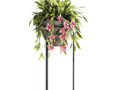 Plants set 3D Modell