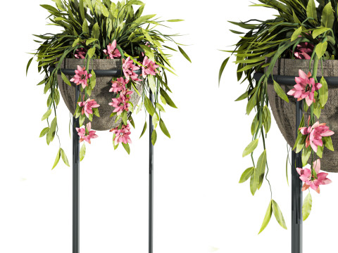 Plants set 3D Modell